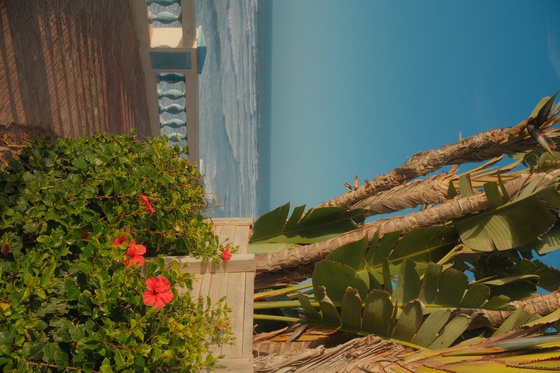 Creative Surf & Yoga Trip — Marrocos